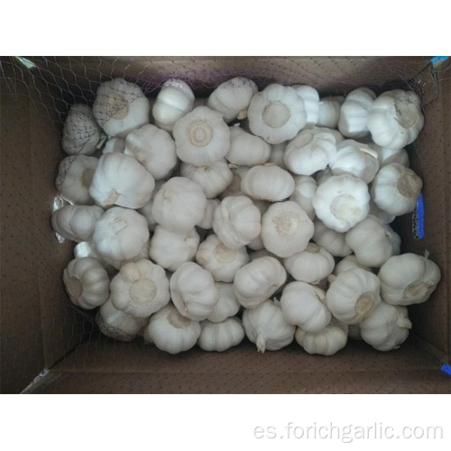 La mejor calidad de Jinxiang Pure White Garlic 2019